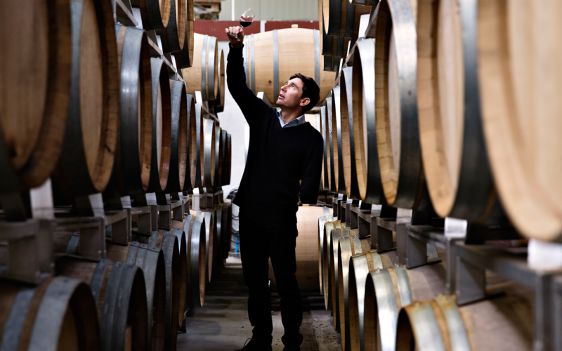 Harald Krabbe from Fredriksdal Kirsebærvin looking at wine