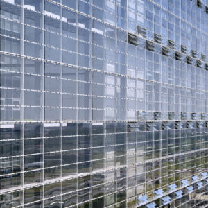 oral proceedings epo